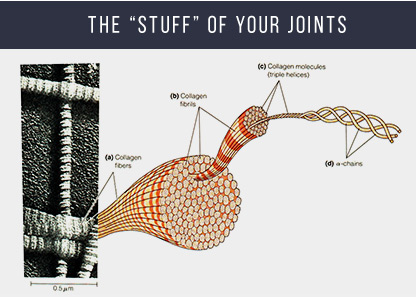 The stuff of joints